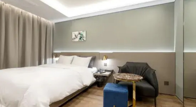 Люкс Bundang (Yatap Station) Breeze Hotel