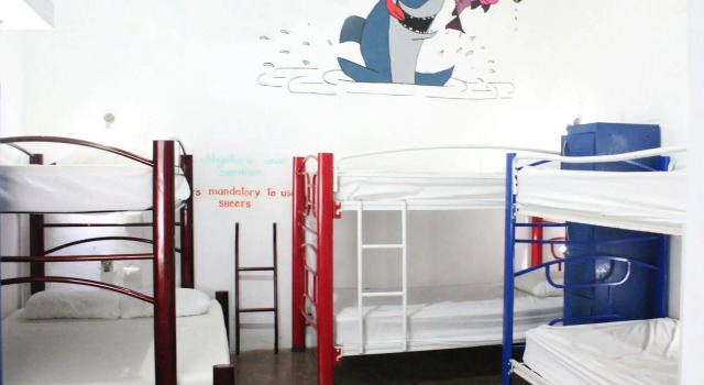 Hostal Vive la Vida, Prenota Hotel Hotel a Quintana Roo con piscina, Piscina