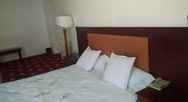 Standard huone Mimosa Palace Annaba