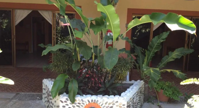 Полулюкс с балконом Hotel Palmeras