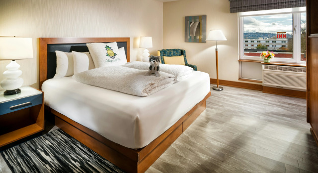 Watertown Hotel Seattle, Book Hotel Seattle Washington (state)