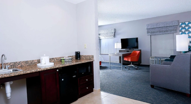 Двухместный люкс Hampton Inn & Suites Tampa-Wesley Chapel