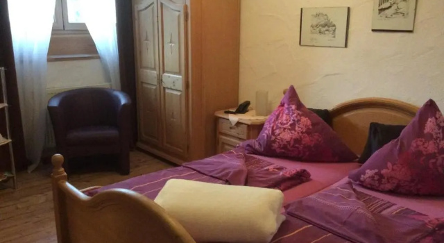 Двухместный номер Standard Hotel-Hauensteiner-Hof