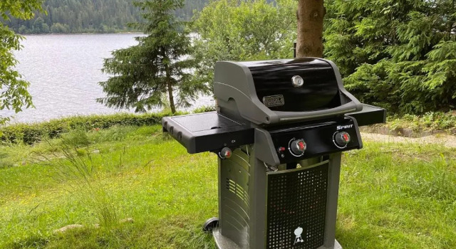 Апартаменты Schluchsee, Villa Seepark