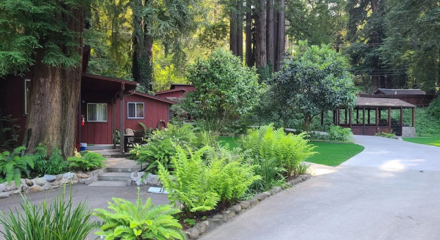 Люкс Classic Fern River Resort