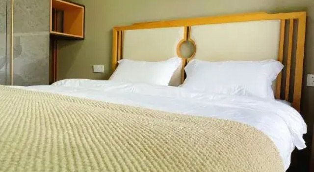 Люкс c 1 комнатой Tianmu Anqing Hot Spring Villa
