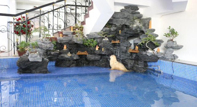 Sao Mai Hotel, Buchen Sie Hotel Hotels in Mekongdelta mit Parkplatz, Parkplätze