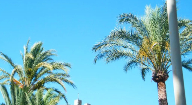 Appartamento Vacanze I Provenzali