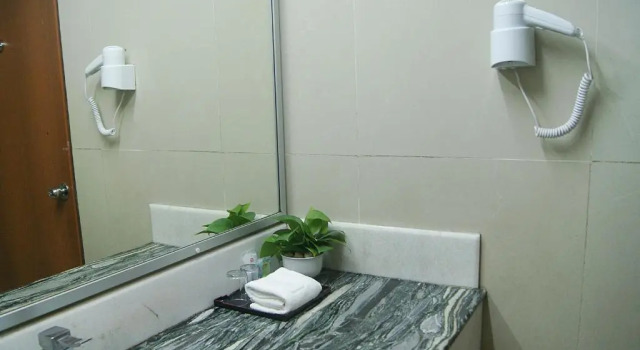 Двухместный номер Deluxe Tang Dynasty Park Hotel