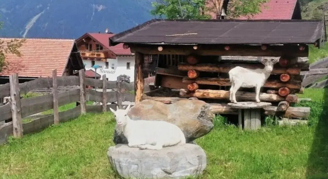 Talissa at Organic & Riding Stables of Veitenhof, Rezerwuj Hotel Hotele w Tyrol z parkingiem, Parking