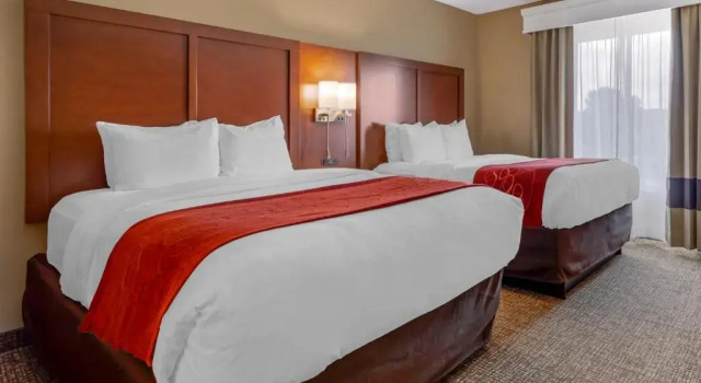 Двухместный люкс c 1 комнатой Comfort Suites Knoxville North