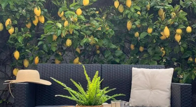 "Sunset Garden" apartment, Boek Appartement Riomaggiore Cinque Terre