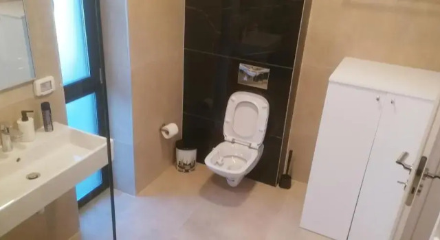 Апартаменты Apartamentul Ivanic 102