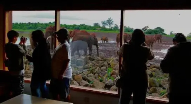 The Ark Lodge, Buchen Sie Pension Nyeri Central