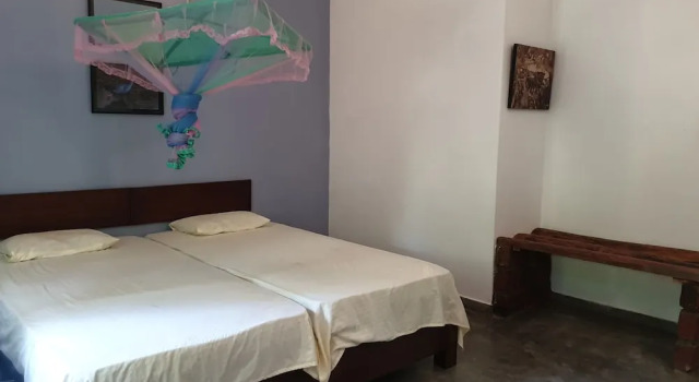 Двухместный номер Economy с балконом Jungle House