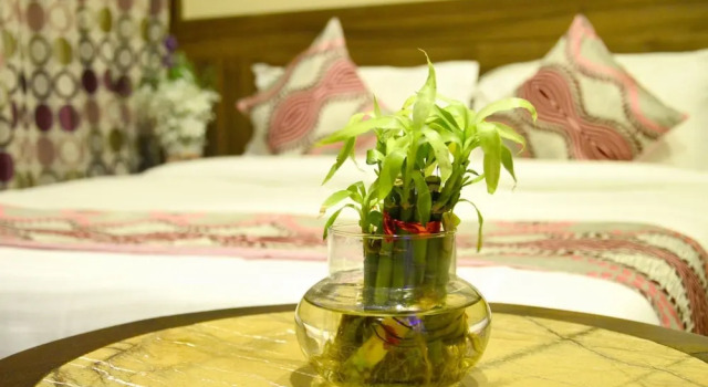 Номер Deluxe hotel neelam paradise