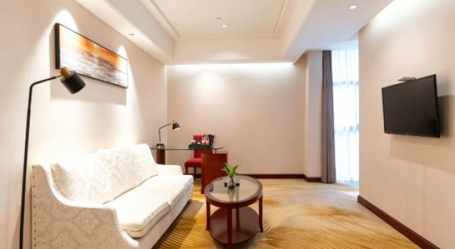 Люкс Business Vienna International Hotel (Lishui Jingning She Ethnic Museum Branch)
