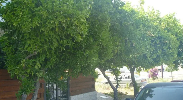 Larnaca City, Book Hotel Larnaka Larnaca Region