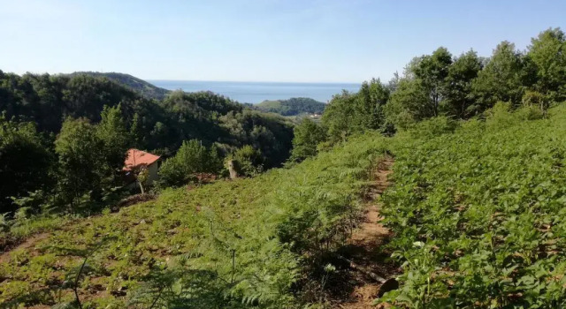 Номер Standard Agriturismo Verdure Naturali