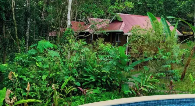 Номер Standard Toucan Hill Lodge