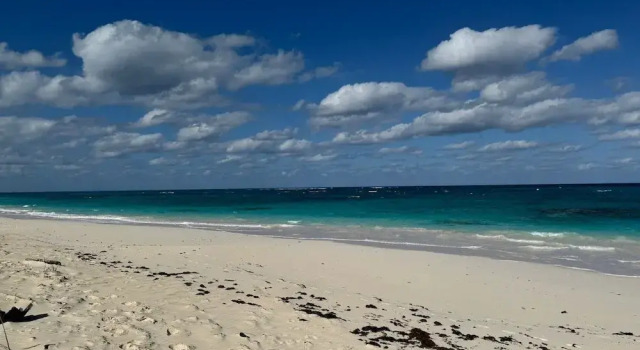 Коттедж Cricket Beach House-luxurious Beachfront House 5 Bedroom Home