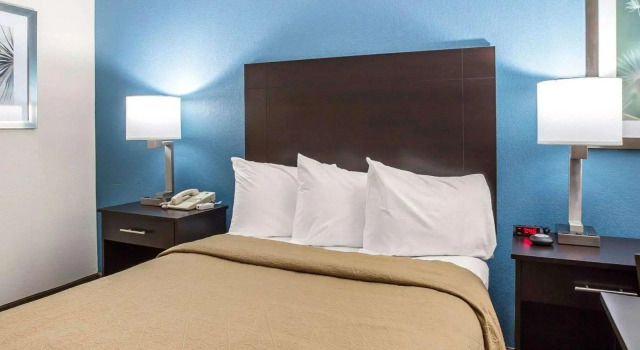 Standard- dobbelt værelse Quality Inn Macon