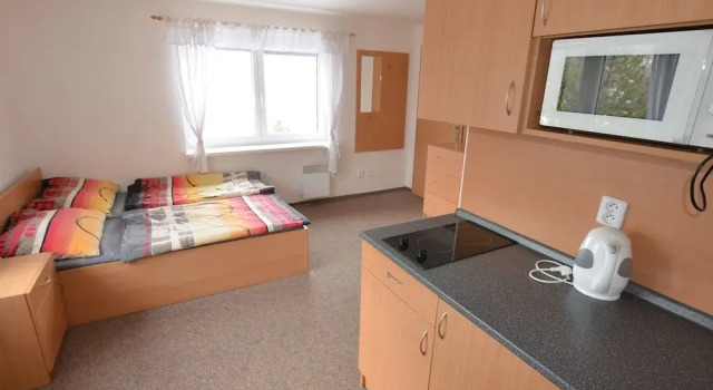 Apartment House in the Ore Mountains, Only 1km From the Valley Station / Loucná - Keilberg /, Забронировать Апартаменты/квартира Апартаменты Czech central mountains, Апартаменты/квартира