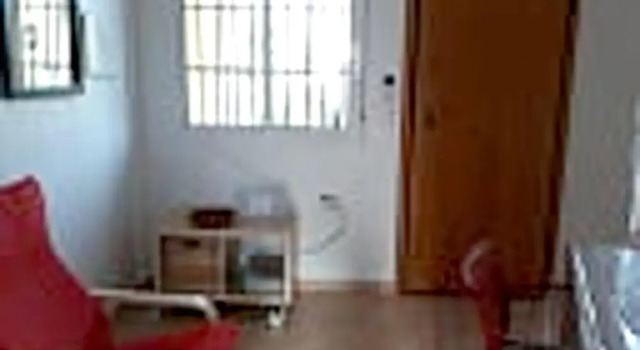 House With 4 Bedrooms in Torrevieja, With Shared Pool, Enclosed Garden and Wifi