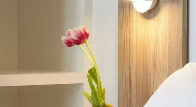 Номер Superior Hotel Gemma