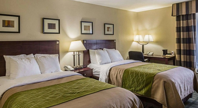 Четырёхместный номер Standard Comfort Inn Southwest Fwy at Westpark
