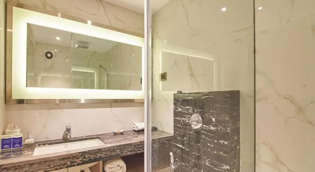 Двухместный номер Deluxe Rivera Sarovar Portico Ahmedabad