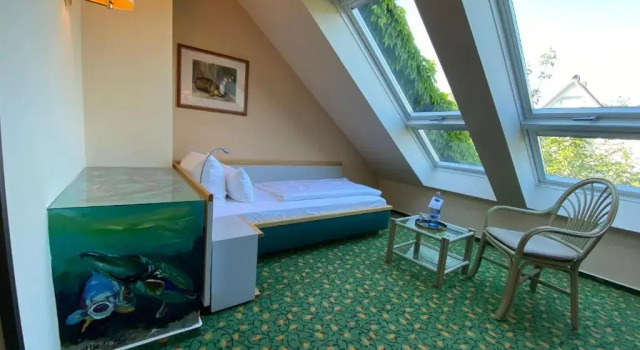 Номер Standard Hotel am Müritz-Nationalpark