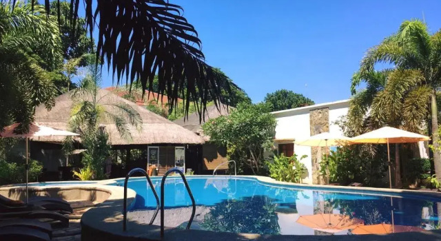 Номер Standard Acacia Tree Garden Hotel
