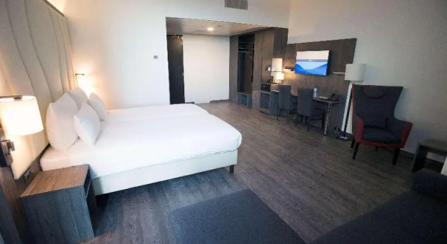 Номер Standard PLAZA Premium Almere