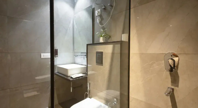 Номер Deluxe IVA Premium Delhi Airport