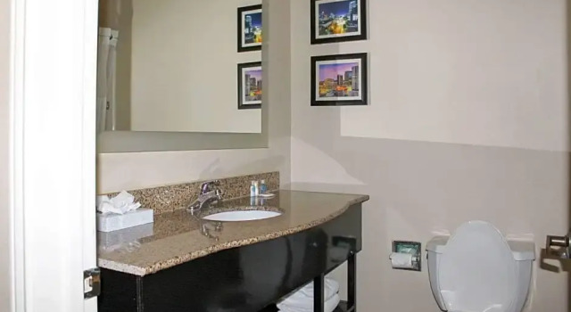 Двухместный люкс Comfort Inn & Suites Fultondale Gardendale I-65