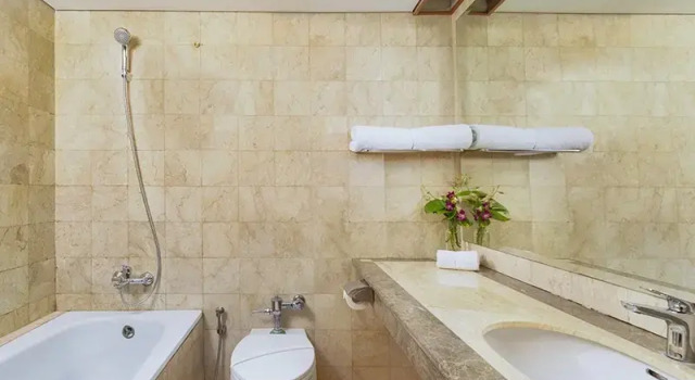 Business Suite Tavia Heritage Hotel