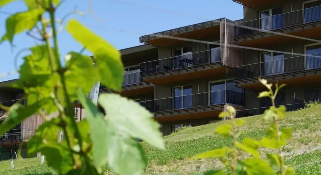 Relax Residence Südsteiermark, Rezerwuj Apartament Ehrenhausen Styrian Wine Road