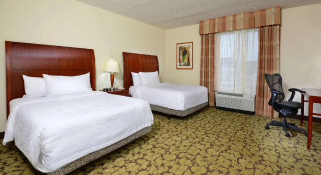 Четырёхместный номер Standard Hilton Garden Inn Raleigh Capital Blvd I-540