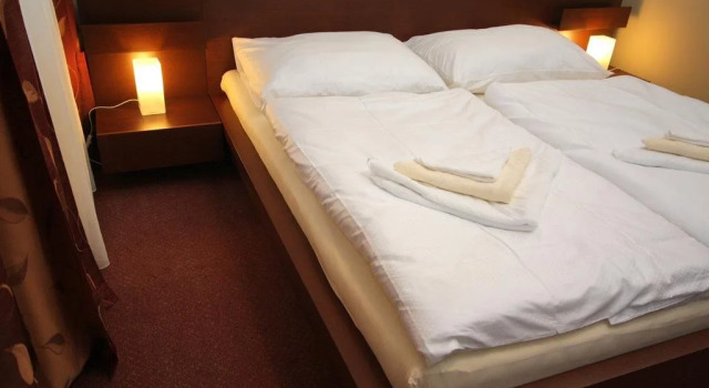 Penzion Haydnuv Dum, Book Hotel Dolní Lukavice 