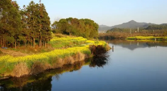 Wuyuan Shuizhu Qingyuan Homestay, Rezerwuj Hotel Wuyuan Jiangxi