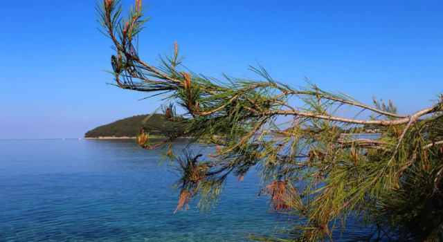Holiday Apartment Marinka, Book Lejlighed Vela Luka Korcula