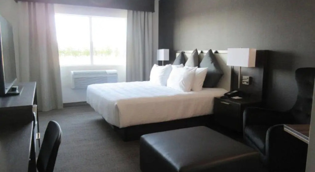 Номер Standard Best Western Plus Morden
