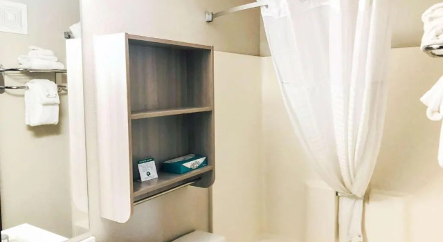 Четырёхместный номер Standard Microtel Inn & Suites by Wyndham Eagan/St Paul