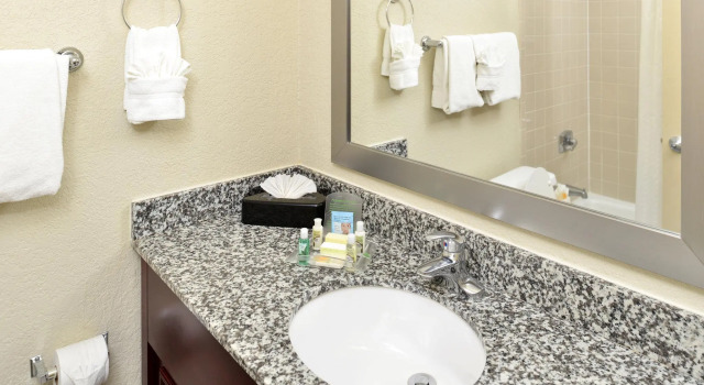 Четырёхместный номер Premium Holiday Inn St. Petersburg N - Clearwater by IHG