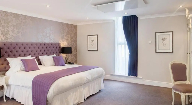 Номер Deluxe Maesmawr Hall Hotel
