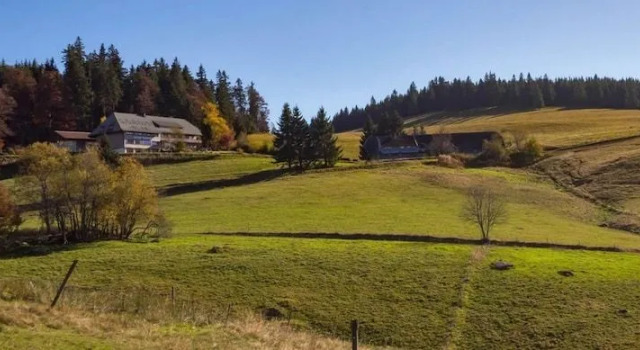 Berggasthaus Gisiboden Alm, Reserva ahora Hotel Todtnau Feldberg