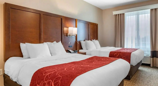 Четырёхместный номер Standard Comfort Suites Columbus Airport