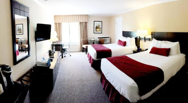 Номер Economy The Margate Resort