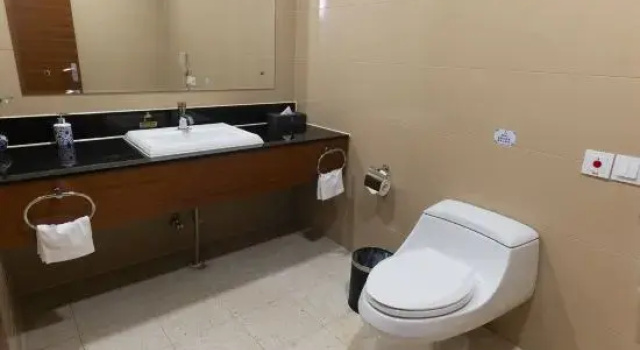 Люкс Zijing Hotel
